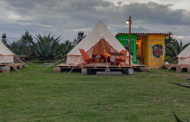 Night at the Firefly Sanctuary - Photo 1