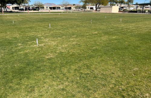 Monte Vista Village Resort Mesa 3 Bed 2 Bath Age Restricted Must be 55 or more - Photo 45