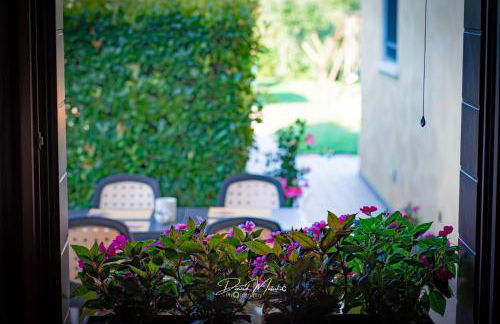 Agriturismo Olistella - Photo 9