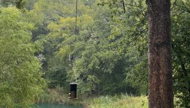 Gated Estate Escape! Three BR - Foto 5