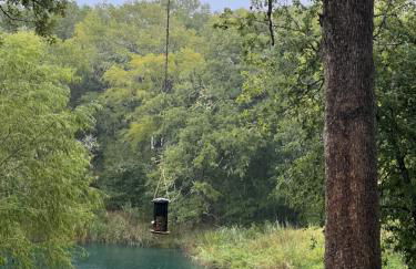 Gated Estate Escape! Three BR - Foto 5