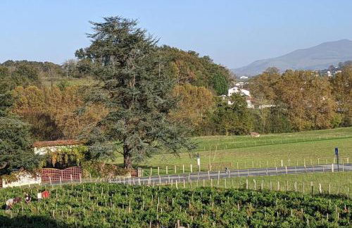 Bol d'air pur au coeur du pays basque - Foto 22