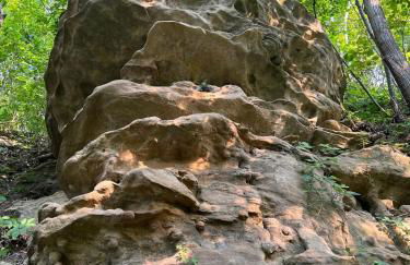 Bosco Bluff Cottage - Foto 6