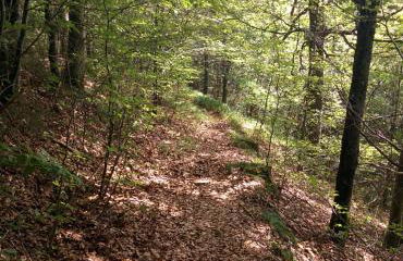 Gib mir funf! Ferienwohnung in St. Blasien - Foto 13