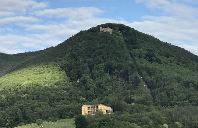 Barocker Hof Rhodt - Foto 48