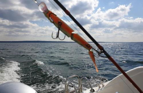 Ferienhaus Kiebitz, Plau am See - Foto 62