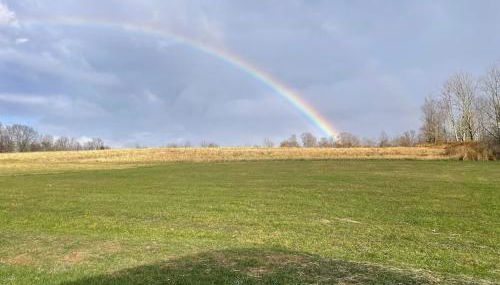 Private Luxury Log Cabin in the Endless Mountains, Firepit, Farm Charm - Foto 3