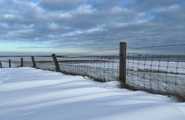 Ferienwohnung HEIN am Nordseedeich - Photo 21