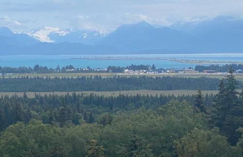 Apartment, walkout basement, Central Homer, Views! - Foto 6