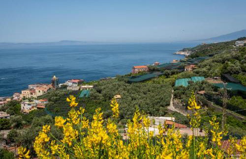 Neva Suites Massa Lubrense Sorrento Coast - Photo 50