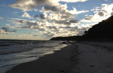 Hering FeWo I Apartment Terrace - Foto 4