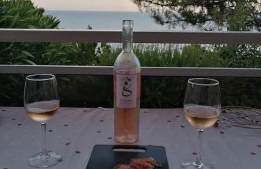 Villa Tarco, South Corsica, Sea View & Garden - Foto 27