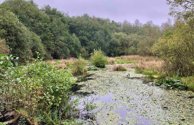 Luxury Lakeside Retreat-by Traum - Foto 48