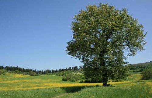 Florence Country Residence - Foto 12