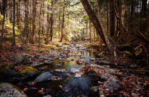 Mount Snow Yurt - Hot Tub, Wood Stove, WiFi, EVcharger - Foto 51