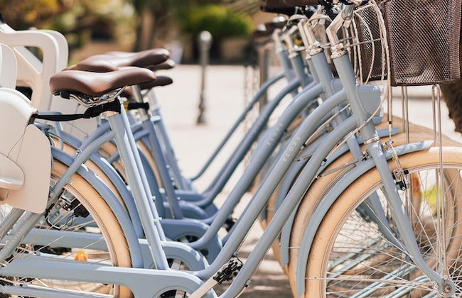 Sella&Mosca Casa Villamarina - Foto 46