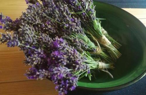 Podlaskie Żuczki - Foto 23