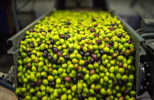 Acushla Original House Douro - Foto 19