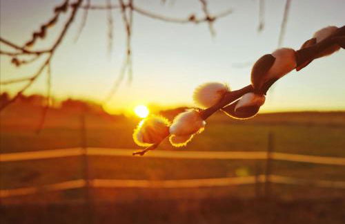 Apartment im Luftkurort Kißlegg, frisch renoviert, Balkon, Boxspringbetten, SmartTV, Playstation, Kaffevollautomat, ruhig, familienfreundlich - Foto 11