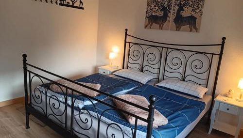 Apart Lachmöwe - Foto 2