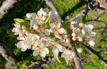 Le Miromar - Foto 34