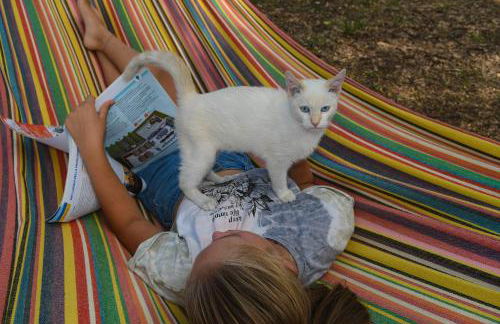 azienda agrituristica la torretta - Foto 36