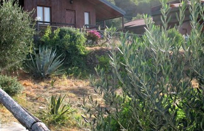 Agriturismo San Cataldo Farm Home - Photo 66