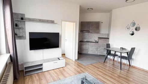 E&B Apartments Korb bei Waiblingen & Stuttgart - Foto 3, stove