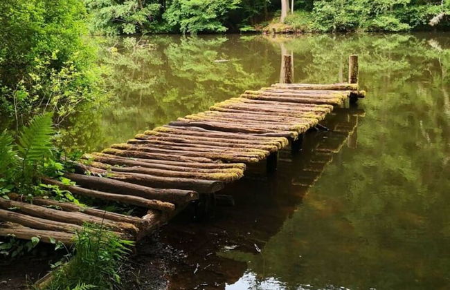 Holiday Apartment Rappenfels Lodge - Photo 24