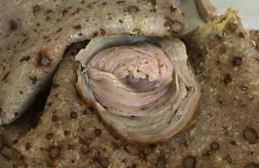 Vacances plages, mer, balades ou GR34 ! - Foto 60