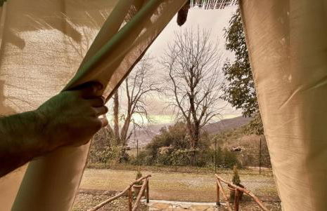 Agriturismo Tassinaia - Foto 58