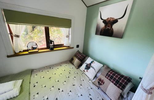 Romantic Shepherds Hut with Hot Tub in The Heart of Snowdonia - Foto 8