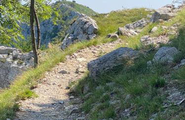 La coccinella - Foto 26