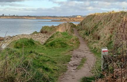 résidence des dunes - Foto 66