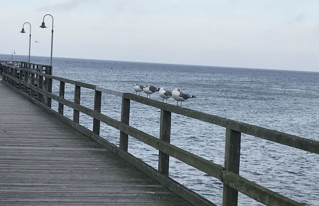 Haus Strandeck - Foto 36