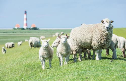 Matthias Claudius - Photo 7