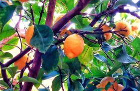 Fortezza Villa Azzurra - Foto 39