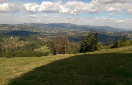 Góralski domek na szczycie - Foto 22