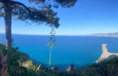 Bouganville in Villa Greco - Foto 57