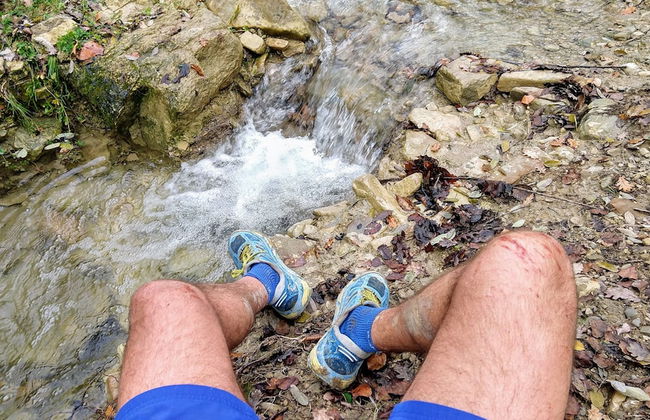 Il Querceto - B&B e Appartamenti Vacanze - Foto 45