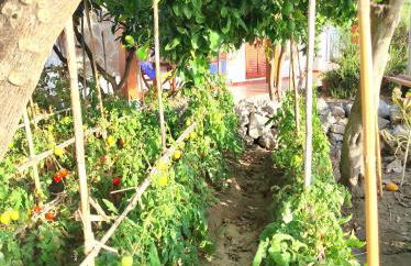 Holiday home Mennulita - Foto 36