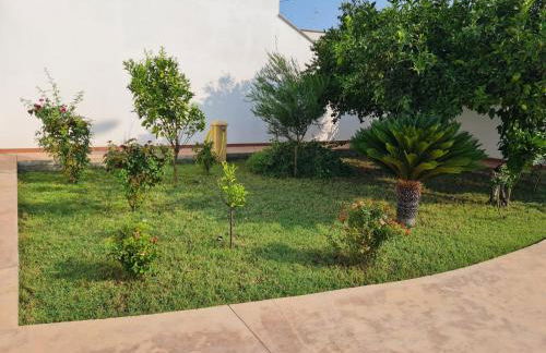 Villa Fede&Edo - Foto 14