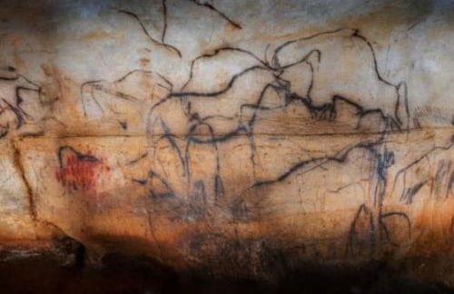 Vakantiehuis La Poire, op landgoed aan de Dordogne - Foto 29