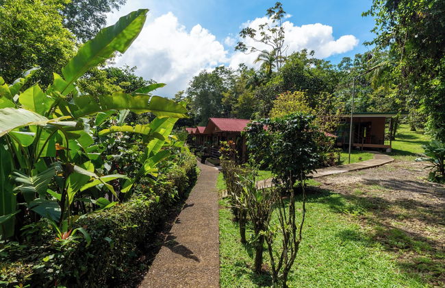 Villas Josipek - Photo 56