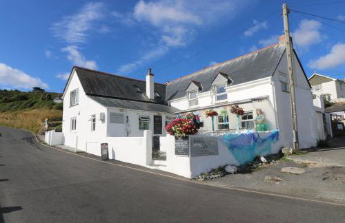 Gannet Watch - Foto 17