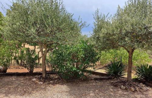 Le NORD AU SUD pour 2 personnes - Foto 15