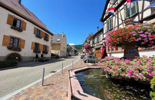 Gîte À l'aigle de sable - Foto 26