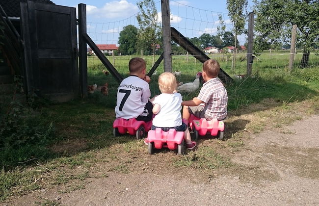 Zaißlhäusl Hof Ferienwohnungen - Photo 31