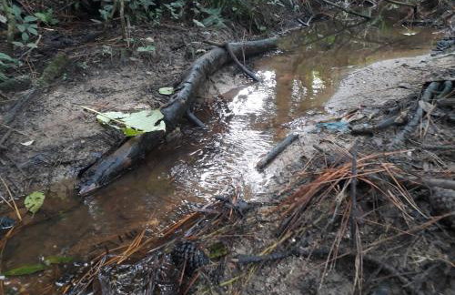 Chácara Chiafarelli - Photo 25