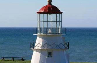 Dolphin by OceanviewHotTubs Oceanfront Shelter Cove Tesla - Foto 20